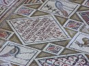 St Cosmos + Damian Mosaic Detail * the Church of St. Cosmos and St. Damian, twin brother doctors who were martyred in the 4th century, has the most splendid floor mosaics to be seen in Jerash. An inscription dates the mosaic to 553 AD, and the images include the churchwarden Theodore with his wife Georgia, praying with widespread arms. * 576 x 431 * (169KB)